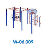 W-06-009